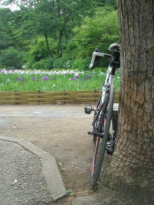 小田原城到着