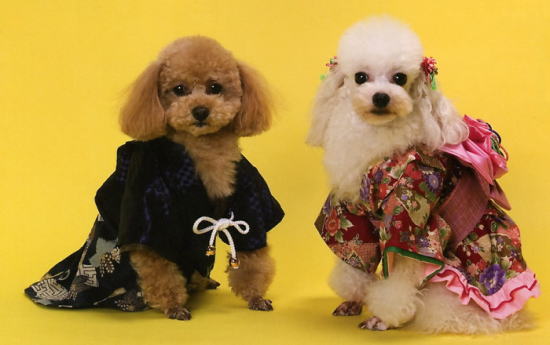 犬用着物 犬用kimono 振袖 羽織袴特集 犬の洋服 ペットと快適に暮らす 楽天ブログ