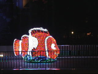 DSC00001.JPG