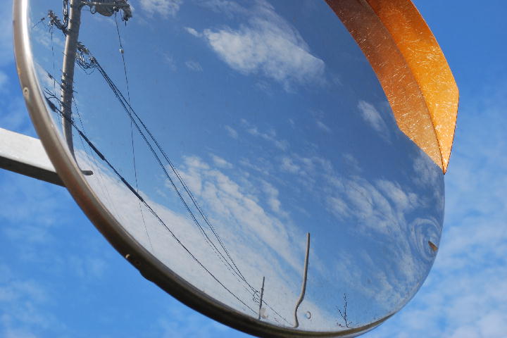 秋なのに 008.jpg