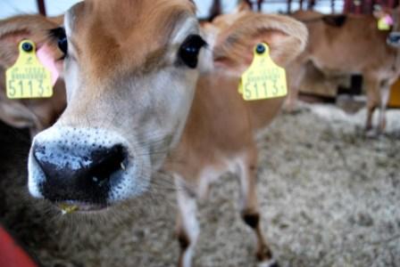 青空教室 079.jpg