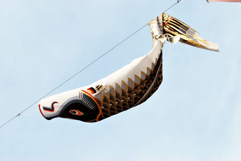 こいのぼり 009.jpg