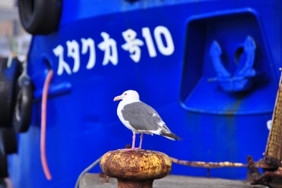 函館ベイエリア