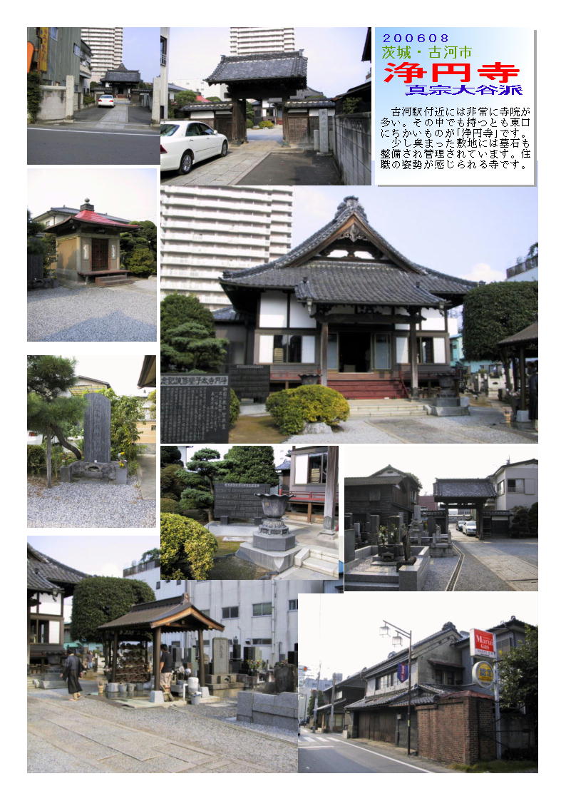 浄円寺 茨城・古河市 中年おじさんの散策 その2 楽天ブログ