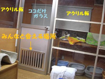 猫部屋改造.jpg