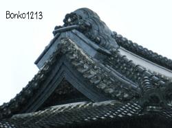 DSCF2250.jpg