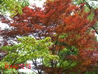 DSCF8478.jpg