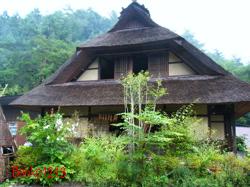 DSCF2117.jpg