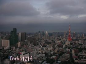 DSCN4501.jpg