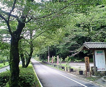 桜トンネル
