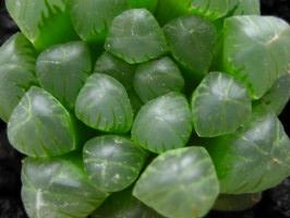 ブログ画像 026_1.jpg