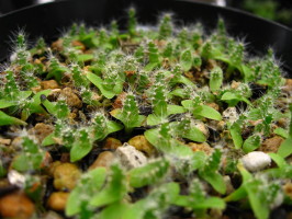 ブログ画像 030_1.jpg