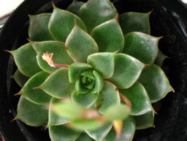 ブログ画像 032_1.jpg