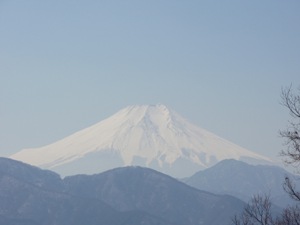 倉岳山から見た富士山