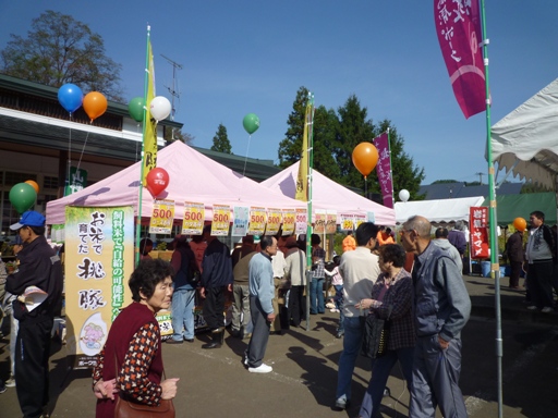 P1020242.JPG