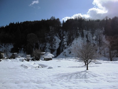 IMG_0519.JPG
