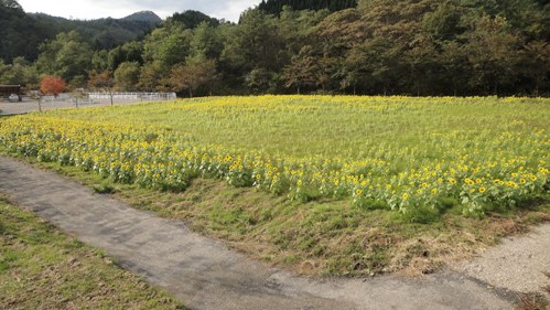 DSC00502.JPG