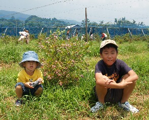 ７．２８ブルーベリー、花火 012small.jpg