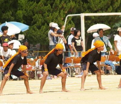 2007年9.22運動会 050ソーラン.jpg