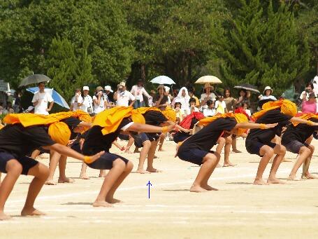 2007年9.22運動会 055ソーラン.jpg