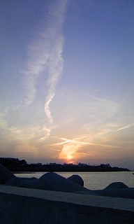 080316_1740~01.jpg