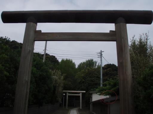 P4260226.jpg