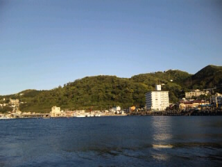 SH380181.jpg