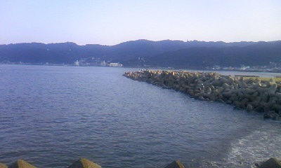 081004_1549~01.jpg