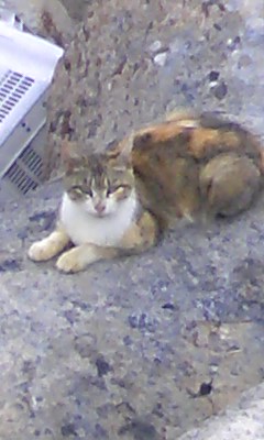 080608_1807~02.jpg