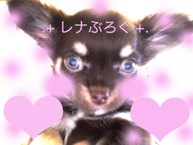 写真 92のコピー.jpg