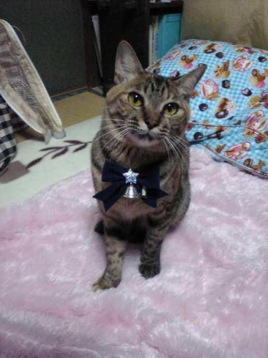 honey merry くり.JPG