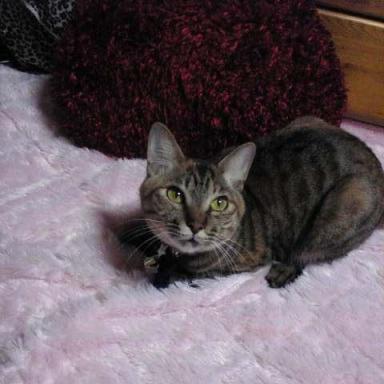 honey merry くり3.JPG