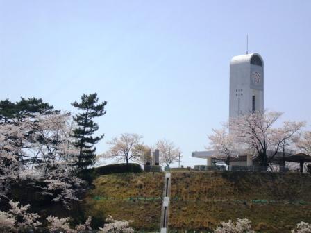 090408潮見坂公園桜 03.jpg