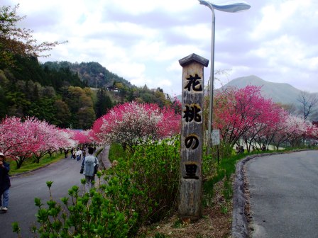 09042426花桃下り里028.jpg