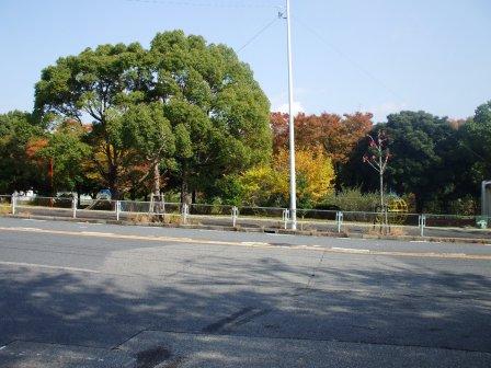 水辺公園０８１１ 6.jpg