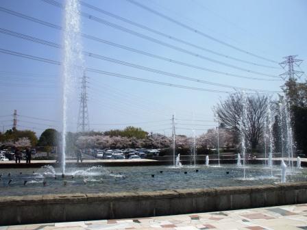 090407落合公園桜 034.jpg