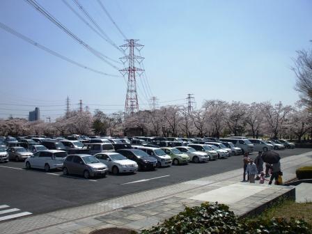 090407落合公園桜 035.jpg