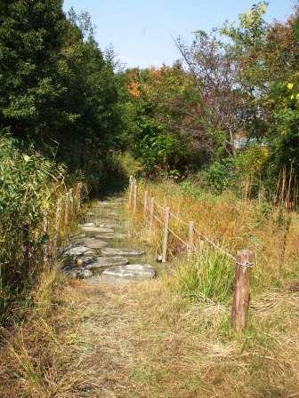 水辺公園０８１１ 8.jpg