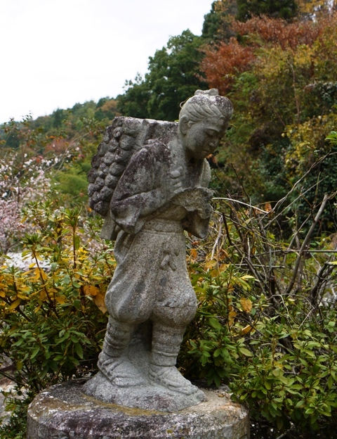 四季桜 05　419二宮.jpg