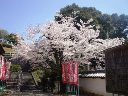 090408高蔵寺05.jpg