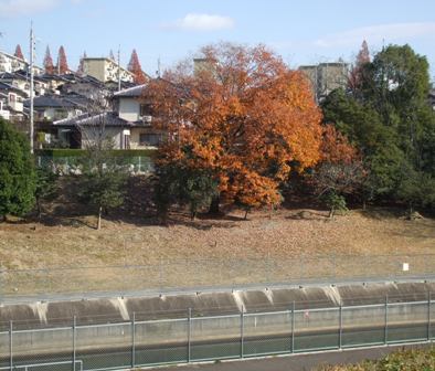 華の樹会 003.jpg