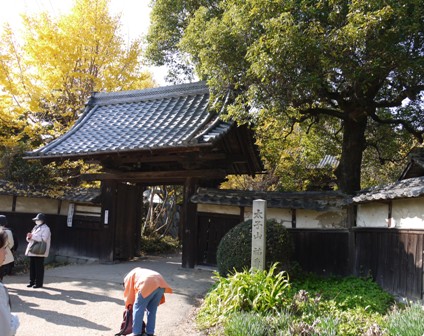 祖父江銀杏 06.jpg