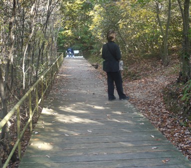 小幡緑地 008板.jpg