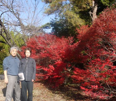 小幡緑地 009ドウダン.jpg