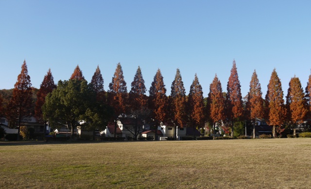 小幡緑地東 02.jpg