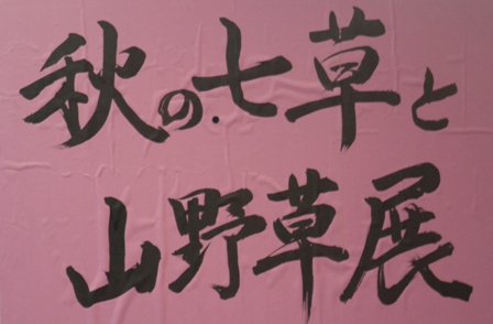 山野草 001看板.jpg