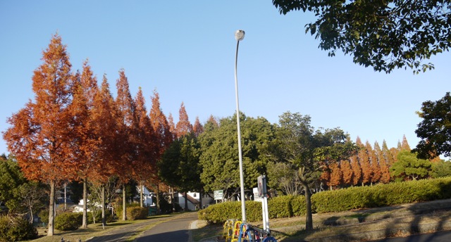 小幡緑地東 03左端.jpg