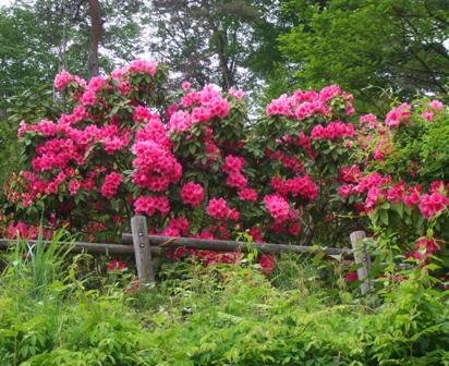 0モンゴル村 31.jpg