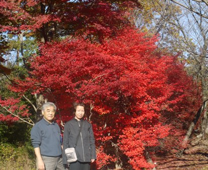 小幡緑地 012.jpg