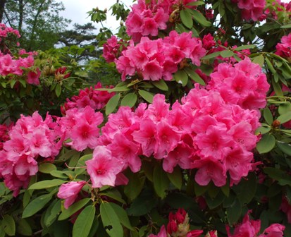 0モンゴル村 32.jpg